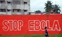 WHO: Ebola deaths exceed 5000