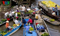 Cai Be floating market fascinates Mekong Delta visitors 