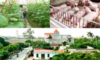 Vietnam Fatherland Front contributes to new rural development