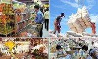 Vietnam’s economic prospects in 2015