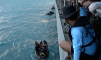 Pings detected in search for black box of AirAsia flight QZ8501