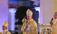 Vatican Cardinal visits Da Nang Diocese 