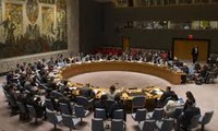 UNSC calls emergency meeting on Israeli-Lebanon conflict 