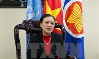 Vietnam supports UN efforts to tackle climate change