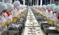 The US adjusts anti-dumping tariffs on Vietnamese shrimp