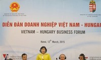 Vietnam, Hungary strengthen business ties