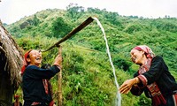 Vietnam protects water resources for sustainable rural development 