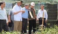Deputy PM Hoang Trung Hai: support ethnic people who manage forests