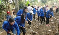 Youth’s vanguard role in Lai Chau’s new rural development