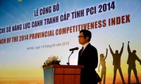 Da Nang tops PCI 2014 ranking