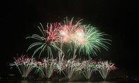 2015 Da Nang international fireworks competition kicks off