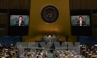 Vietnam committed to NPT