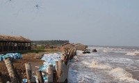 Workshop on Mekong Delta infiltration and landslides prevention