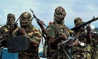 Boko Haram kills 30 civilians in Niger