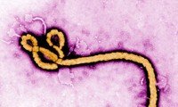 Ebola returns to Liberia 