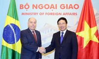 Vietnamese, Brazilian Foreign Ministers holds talks 