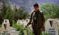 Some 260 PKK members killed in Turkey air strikes