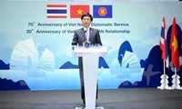 Activities to mark anniversaries of Vietnam’s diplomacy, ASEAN membership 