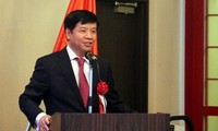 Japanese firms seek investment opportunities in Da Nang city