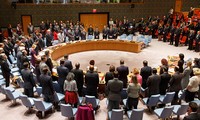 UNSC condemns IS execution of Chinese, Norwegian hostages