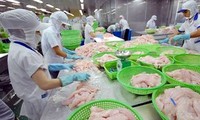 Vietnam strives to ensure smooth export of tra, basa fish