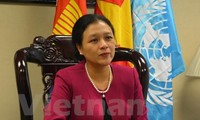 Vietnam faces opportunities, challenges in UN program realization