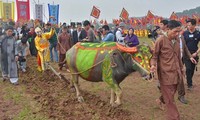 Vice President attends Tich Dien Ploughing Festival 