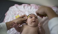 Efforts strengthened to deal with Zika virus