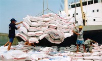 Vietnam expands rice export market