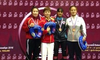 Lua bags Asian wrestling silver
