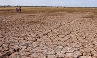 Aids help localities cope with drought and saline intrusion