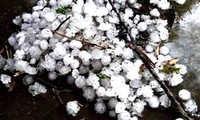 Tuyen Quang resolves hailstorm's consequences