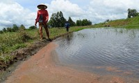 Fresh water reaches Vietnam's Mekong Delta provinces 