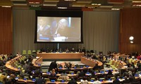 Deputy Prime Minister Vu Duc Dam attends UN meeting on HIV/AIDS 