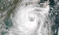 Typhoon Nida: 'Strongest typhoon since 1983' hits Hong Kong