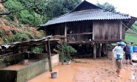 Provinces recovered from Dianmu storm consequences