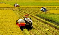 Agricultural restructuring be accompanied by appropriate growth model