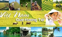 Vietnam, my homeland _ Various artists 
