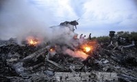 Malaysian lawyers propose bringing MH17 case to ICC