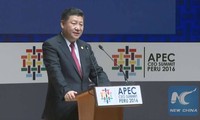 China calls for joint efforts to build FTAAP