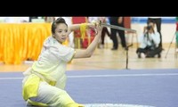 Vietnam wins 3 medals at Taolu World Cup
