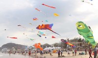 Ba Ria-Vung Tau to host 2016 international kite festival