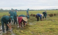 Seeds given to provinces hard hit by natural disasters