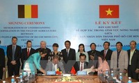 HCM City, Belgian province sign agricultural cooperation