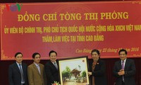 NA Vice Chairwoman Tong Thi Phong pays working visit to Cao Bang