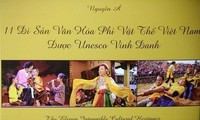 Photo book shows off Vietnam heritage