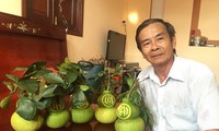 Shaping fruits for New Year Celebration