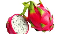 Australia agreed in principle the importation of fresh dragon fruits from Vietnam