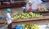 Mekong Delta International Agriculture Festival kicks-off with presser
