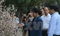 NA Assembly Chairwoman enjoys cherry blossoms
